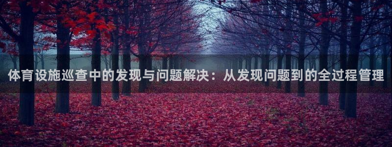 意昂3神州：体育设施巡查中的发现与问题解决：从发现问