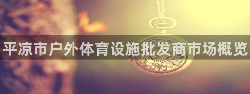 意昂3集团官网网址：平凉市户外体育设施批发商市场概览