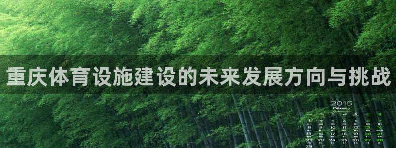 意昂3神州：重庆体育设施建设的未来发展方向与挑战