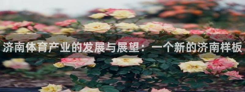 意昂3神州：济南体育产业的发展与展望：一个新的济南样