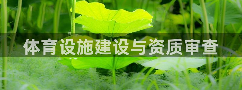 意昂体育3：体育设施建设与资质审查