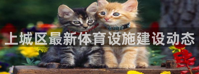 意昂3娱乐代理怎么样：上城区最新体育设施建设动态
