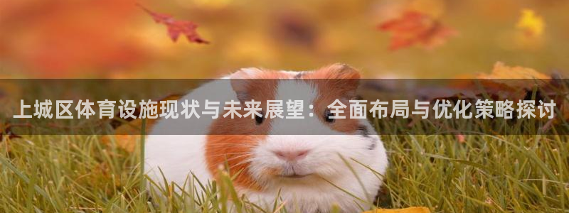 注册意昂3：上城区体育设施现状与未来展望：全面布局与