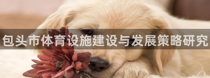 意昂体育3是干嘛的公司：包头市体育设施建设与发展策略
