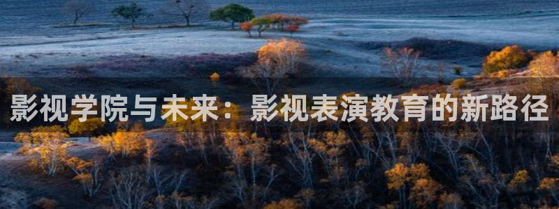 天狼影院在线观看电视剧：影视学院与未来：影视表演教育的新路径