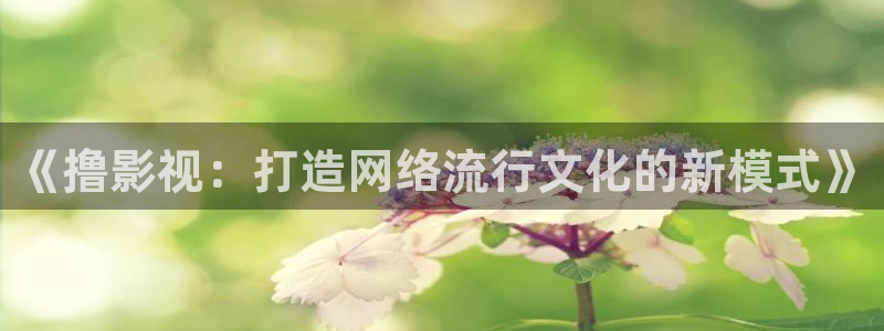 天狼影院2025年最新电影在线观看：《撸影视：打造网络流行文化的新模式》