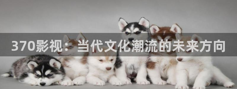 天狼影院消失的她：370影视：当代文化潮流的未来方向