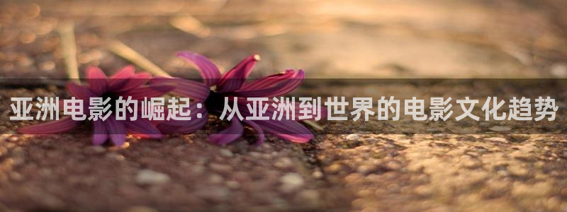 天狼电影2026年最新款在线观看