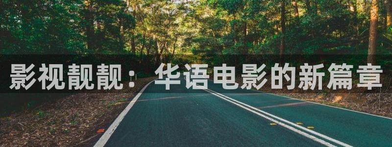 天狼影视院：影视靓靓：华语电影的新篇章
